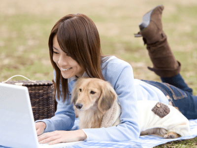 Beschaeftigung Sport Fitness hund Itzehoe Elmshorn